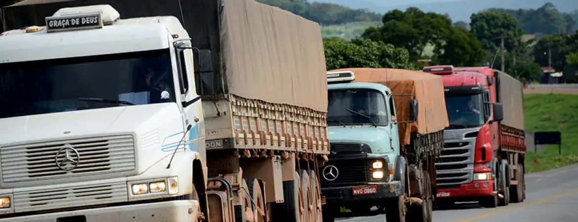 A importância da gestão de pátio em empresas de logística e transporte