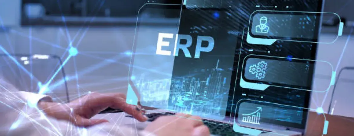 Por que o ERP não é o suficiente?